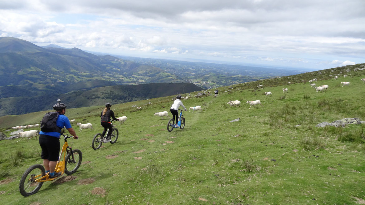 BASE DE LOISIRS DU BAIGURA Activités en famille et loisirs pour les enfants au Pays Basque BASE DE LOISIRS DU BAIGURA Activités en famille et loisirs pour les enfants au Pays Basque